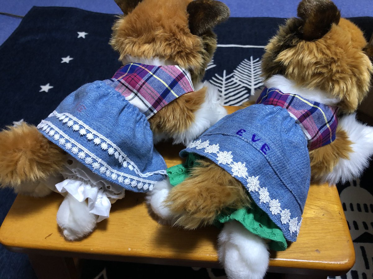 リアルドッグ