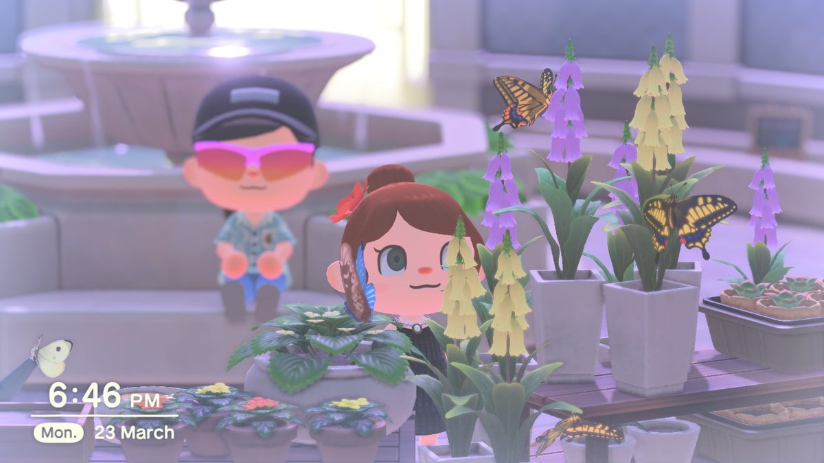 RevanRek's tweet photo. Me and @fazfhunder enjoying date night at the museum in #animalcrossingnewhorizons #AnimalCrossing #ACNH #NintendoSwitch https://t.co/2ntxLNqbz9