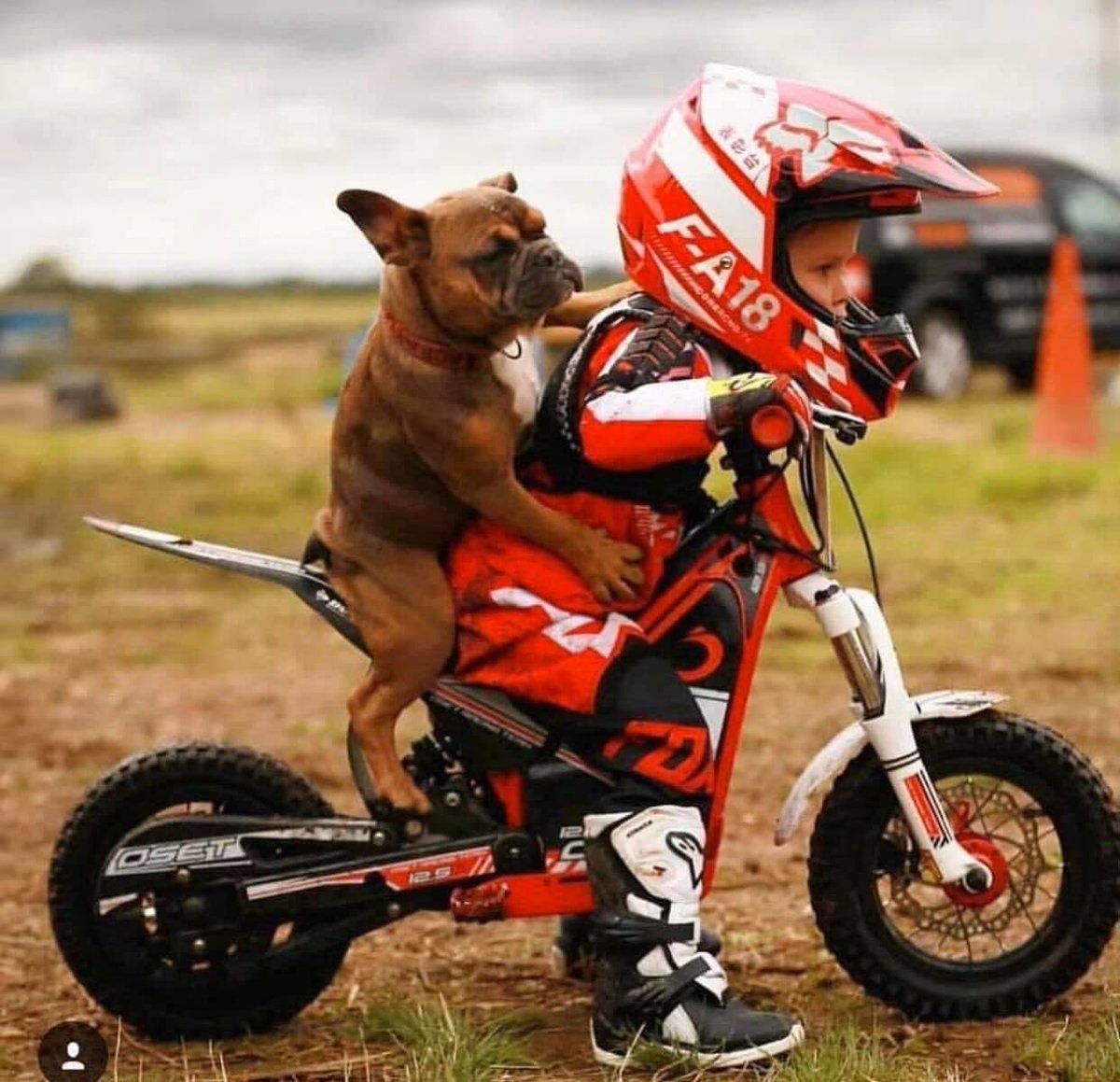 _the1Seventeen_'s tweet image. #GoHard_R_GoHome #eSupportTheKidz