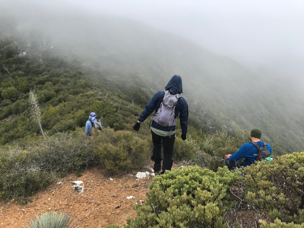 SeanCasserly's tweet photo. Ventana Cone - 21.5 miles RT #summitswagger #LosPadres #BigSur #VentanaWilderness https://t.co/wnJKBJKlsv
