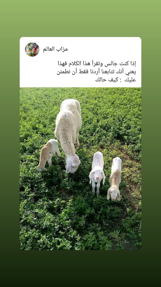 Etait9M's tweet photo. @cst_nesss https://t.co/934o6ZWK3l