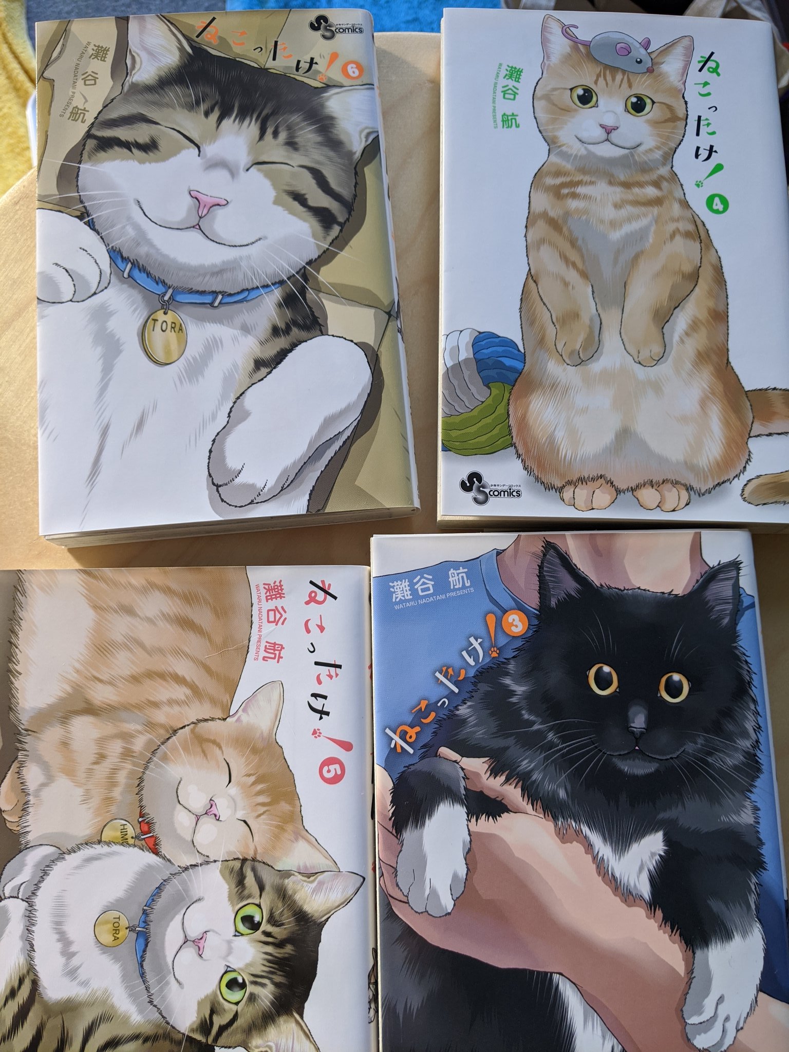 ねこったけ Twitter Search Twitter