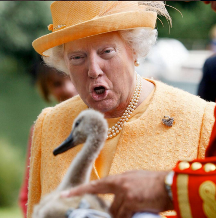 tazzman22's tweet photo. @yazikus @MollyJongFast @LittleAngus @ddale8 Sure, you have 2 options for tonight. Press the button for a simulation of the #TrumpPressBriefing tonight or tune-in and listen live to the our version of the #TrumpQueen https://t.co/ae4zr7SvOK