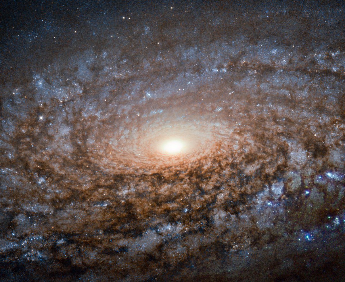 The flocculent spiral NGC 3521, about 40 million light years away in the constellation Leo.Image: ESA/Hubble & NASA and S. Smartt (Queen's University Belfast)Acknowledgement: Robert Gendler