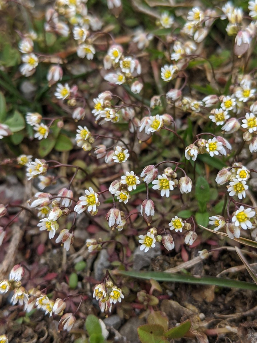 Thomas Stewart tweet media