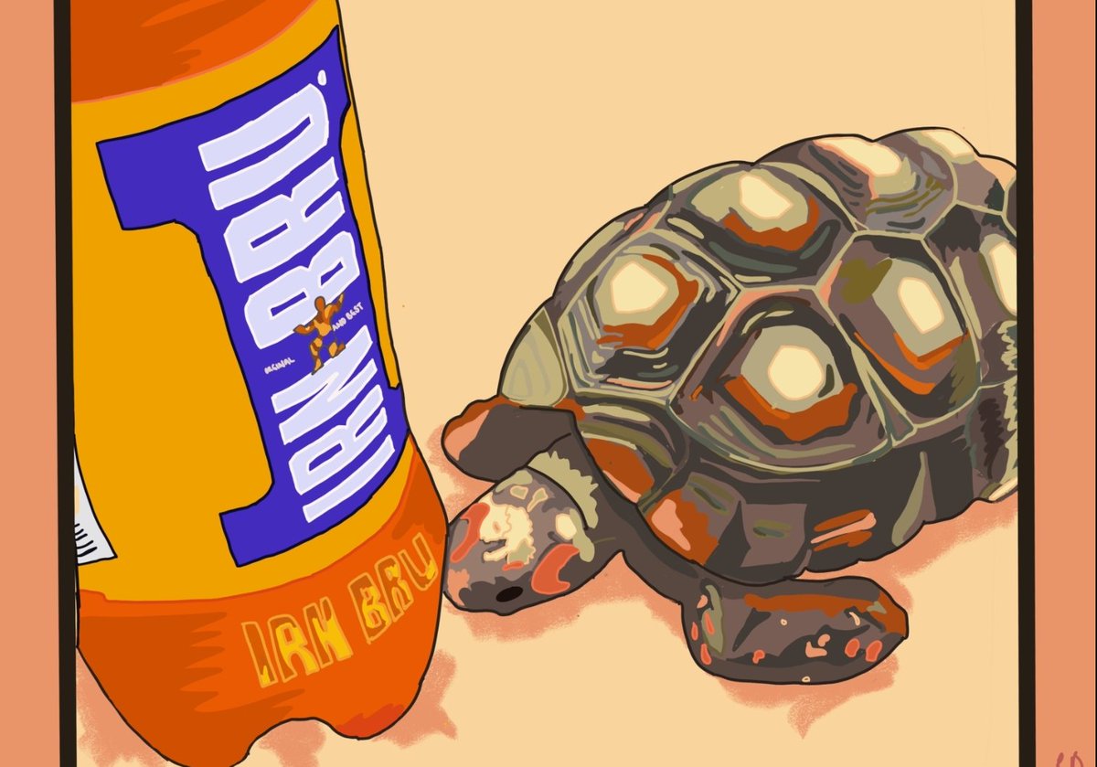spaceinajar_rb's tweet photo. Just a tortoise and their @irnbru  🙋🏼‍♀️ https://t.co/35kfDaZNuw