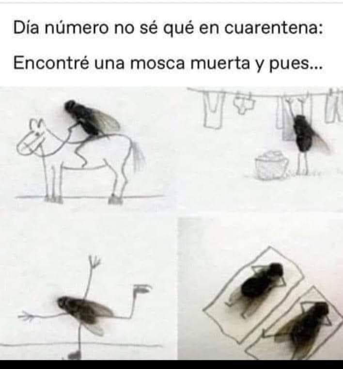 chinoo46's tweet photo. Día no se cuantos.. https://t.co/Lj0qQOz6O5