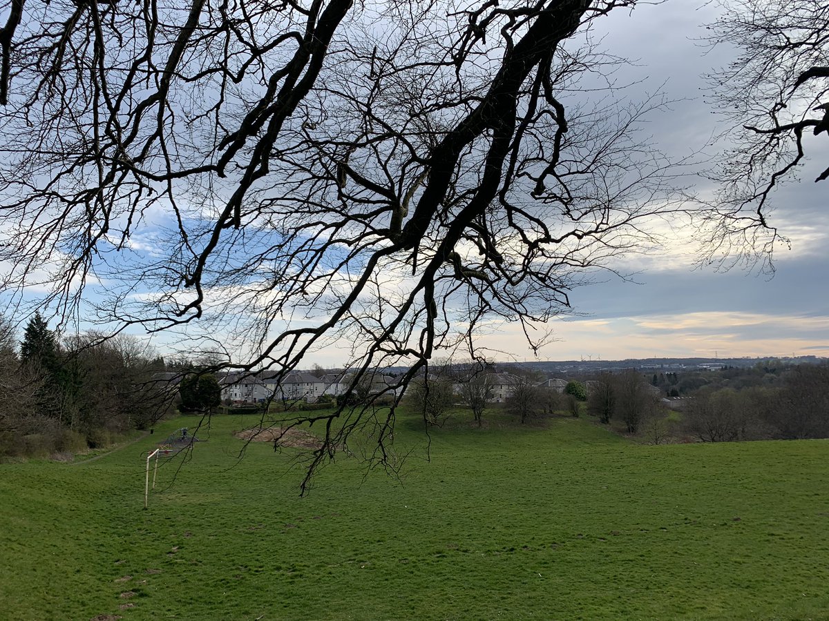 Scott Struthers tweet media