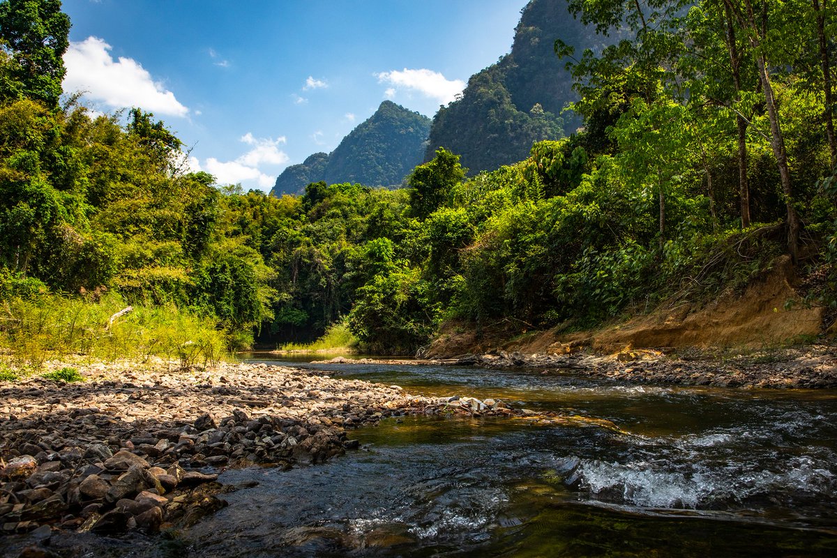 wildplanetblog's tweet photo. The beautiful forests of Khao Sok National Park, Thailand

https://t.co/QkuxjZxw45

#khaosok #Thailand #Travel #travelphotography #traveltuesday #nature #NaturePhotography #naturelovers #jungle #forests #nationalpark #polarised https://t.co/LOHCAXDv6t