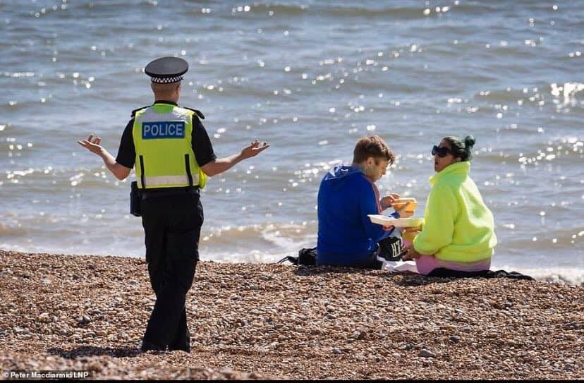 bate_fc's tweet photo. "Oi you two, home now. @FCBATE highlights from yesterday are on the UK fans twitter account, no excuse to be out now!".

#FCBate #UTFB  💛💙💛💙 #StayHomeSaveLives #StaySafe https://t.co/qX9nUD93dR