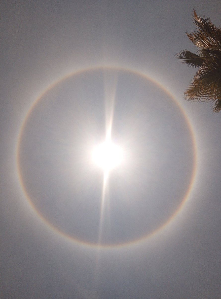 soyjorgeperalta's tweet photo. Hoy hace un hermoso día soleado 😎☀️
.
.
.
#ElSol #DíaSoleado #Foto #Fotografía #Venezuela🇻🇪#HaloSolar #RayosDelSolo
#Sun #Sunday #Sunny #SunnyDay #Photography #Picture #SolarRing #BeautifulDay https://t.co/3UIg06uR21