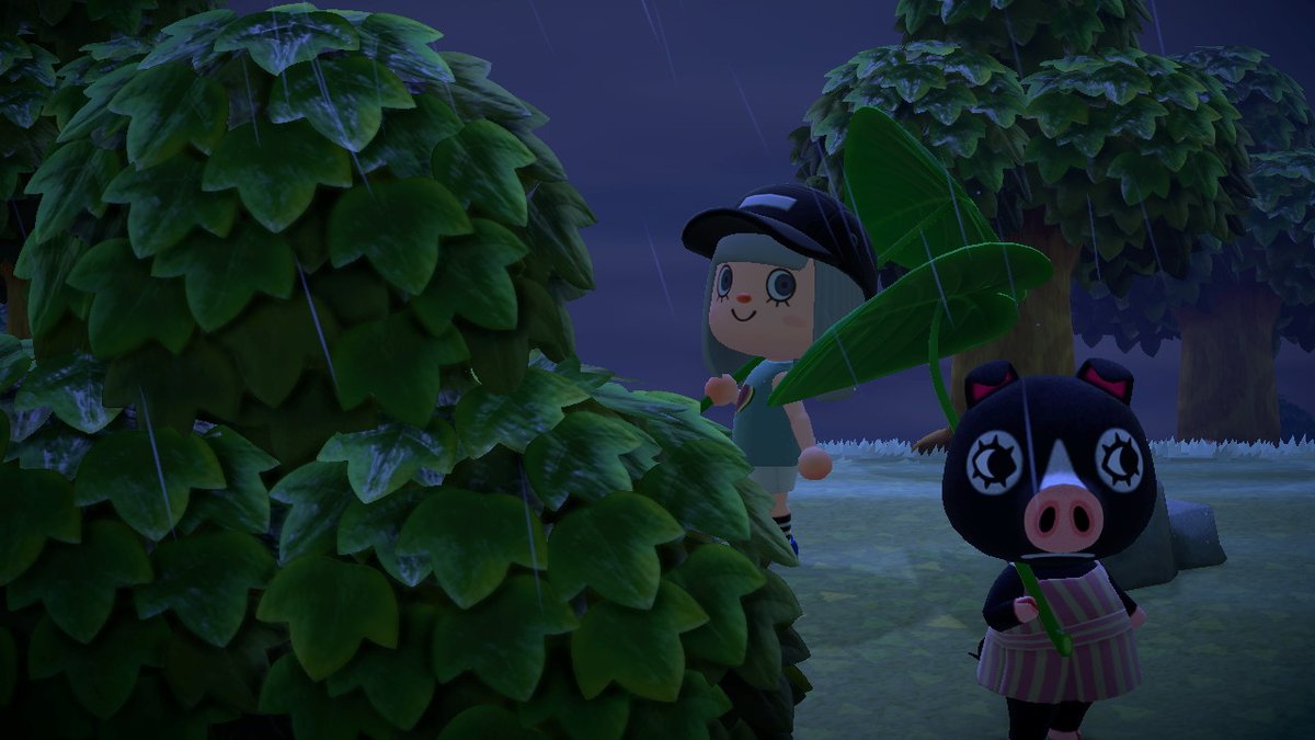 GnapPyk's tweet photo. #AnimalCrossing #ACNH #NintendoSwitch https://t.co/gXcnqtyXUy