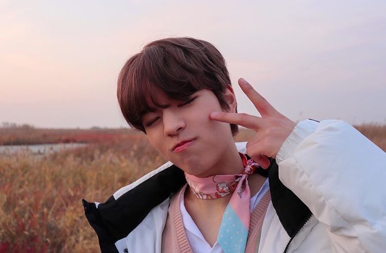 — 200405  ↳ day 96 of 366 [♡]; dear seungmin, today is yeets’ one year anniversary and we decided to celebrate it while playing fun games and video calling, and we had so much fun, they make me immensely happy, anyways i hope you’re staying safe, i love you so much angel