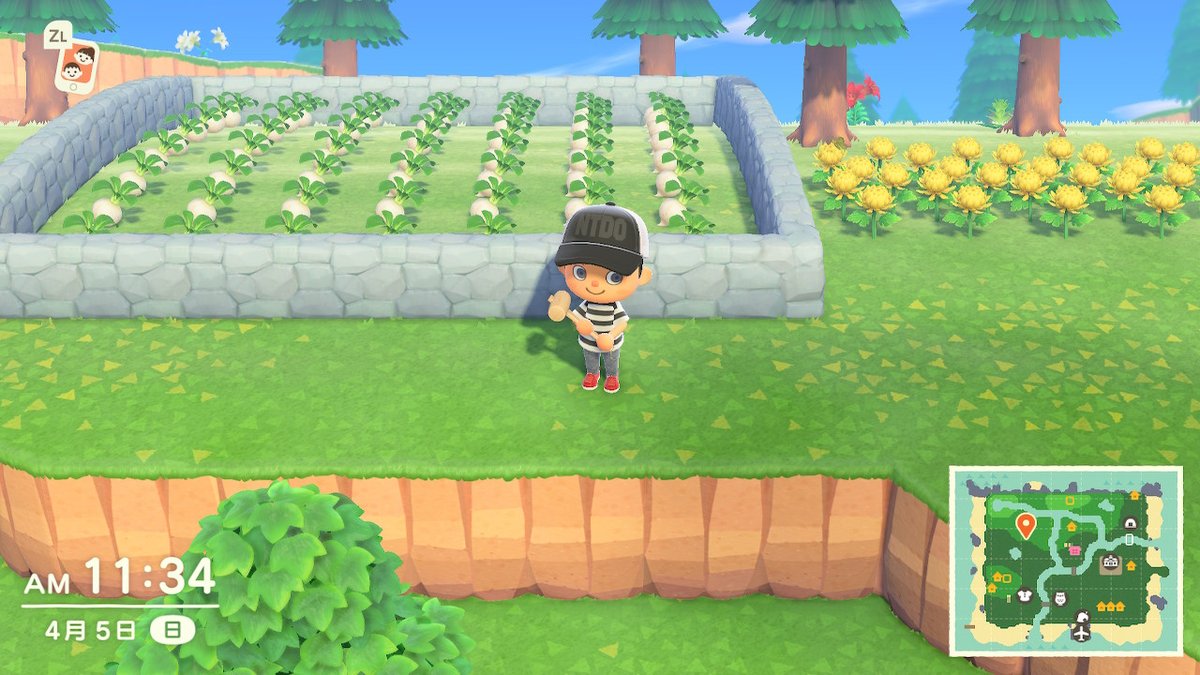 timguoqk's tweet photo. #どうぶつの森 #AnimalCrossing #ACNH #NintendoSwitch https://t.co/MssHVwoDFL