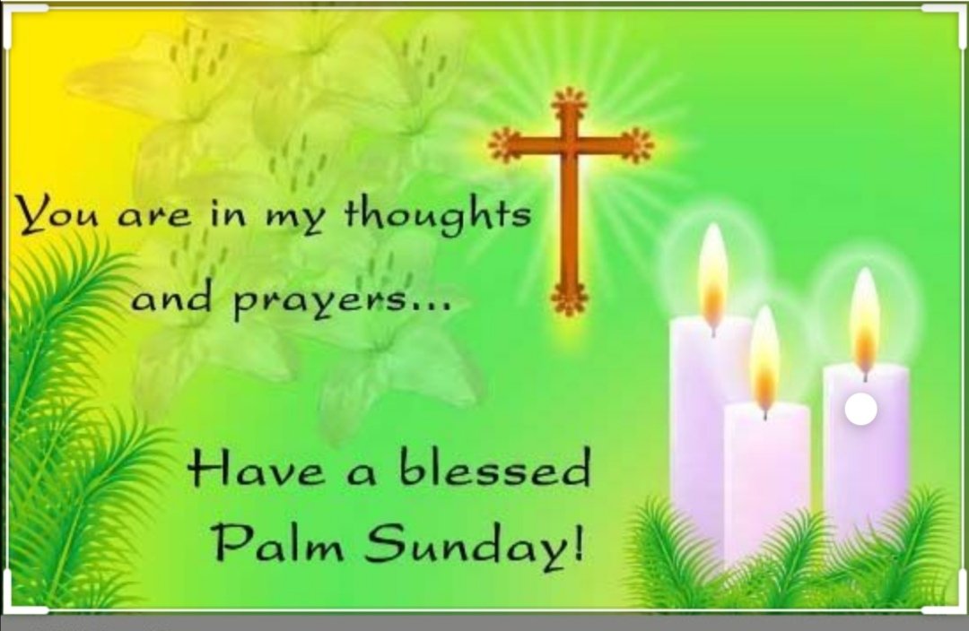Je vous souhaite, ainsi qu'à vos familles, un dimanche des Rameaux béni. Que Dieu vous bénisse avec la santé, la force, la paix, la joie et le bonheur. ❤️🙏