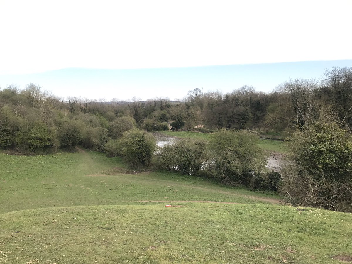 SFH T&O Team tweet media