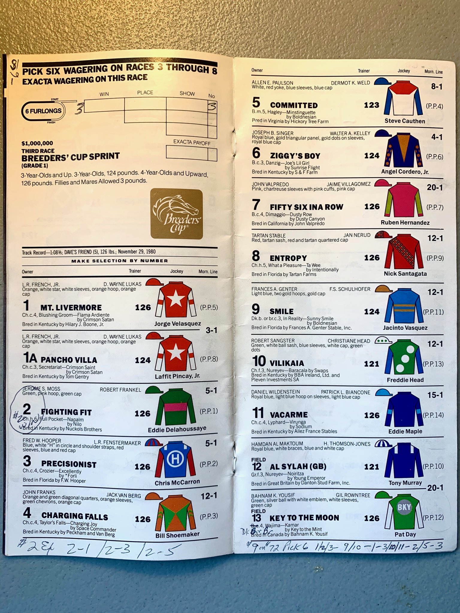 David Aragona Picks Saratoga - rj6npzs
