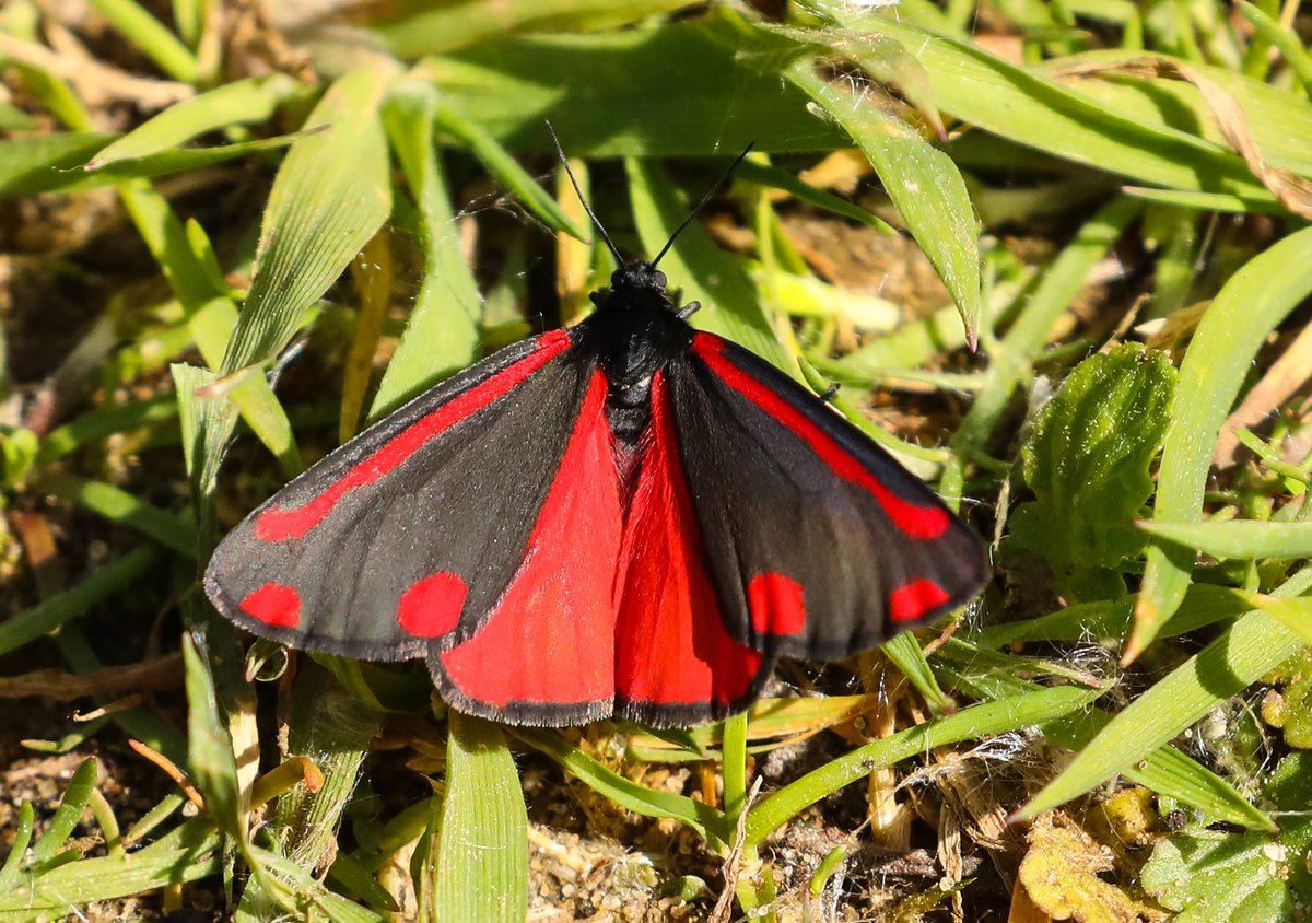 TINA RALPH tweet media