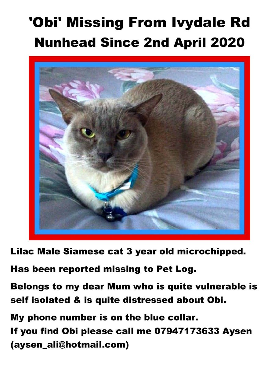 URGENT APPEAL Obi Cat Missing From Ivydale Rd Nunhead SE15 Since 2nd April
Vulnerable mum self isolated heartbroken.
SE LONDON PLEASE RE-TWEET 
<a href="/WHYCNunhead/">WHYC</a> 
<a href="/NunheadKnocks/">Nunhead Knocks</a> 
<a href="/SE15mology/">SE15mology</a>
<a href="/whatkeyisthisin/">Steve Broe Promoter</a> 
<a href="/peckhampeculiar/">THE PECKHAM PECULIAR</a> 
<a href="/jacquishimidzu/">jacqui shimidzu</a> 
<a href="/Southwark_News/">Southwark News</a> 
#nunhead 
#COVID19
