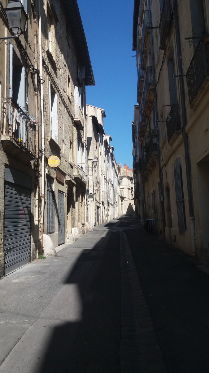 fran_repetti's tweet photo. Tous à la maison #ConfinementJour20 https://t.co/ncU5U079VL