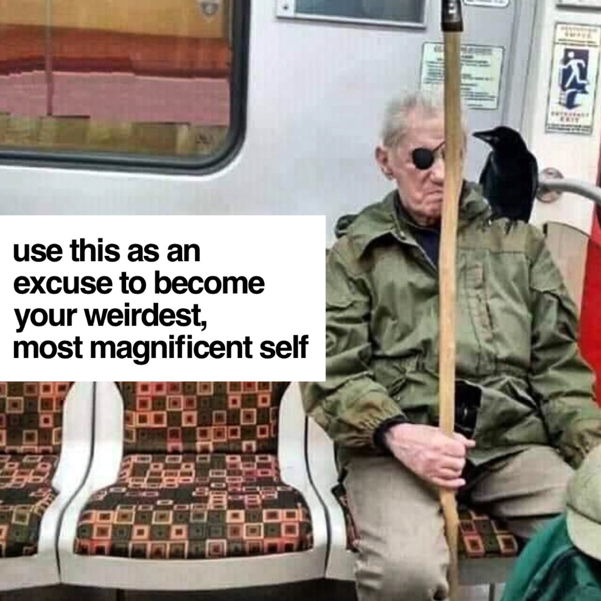 AARPC_Official's tweet photo. THE TIME IS NIGH! The moment to let your freak flag fly is upon us. If most of the world being quarantined and a very present knowledge of life’s shortness and preciousness isn’t enough excuse to live your best life... #stayhome #keepitweird #goals #permission #prophecy 🗝🔮🕳🦉 https://t.co/s37fAoBgKO