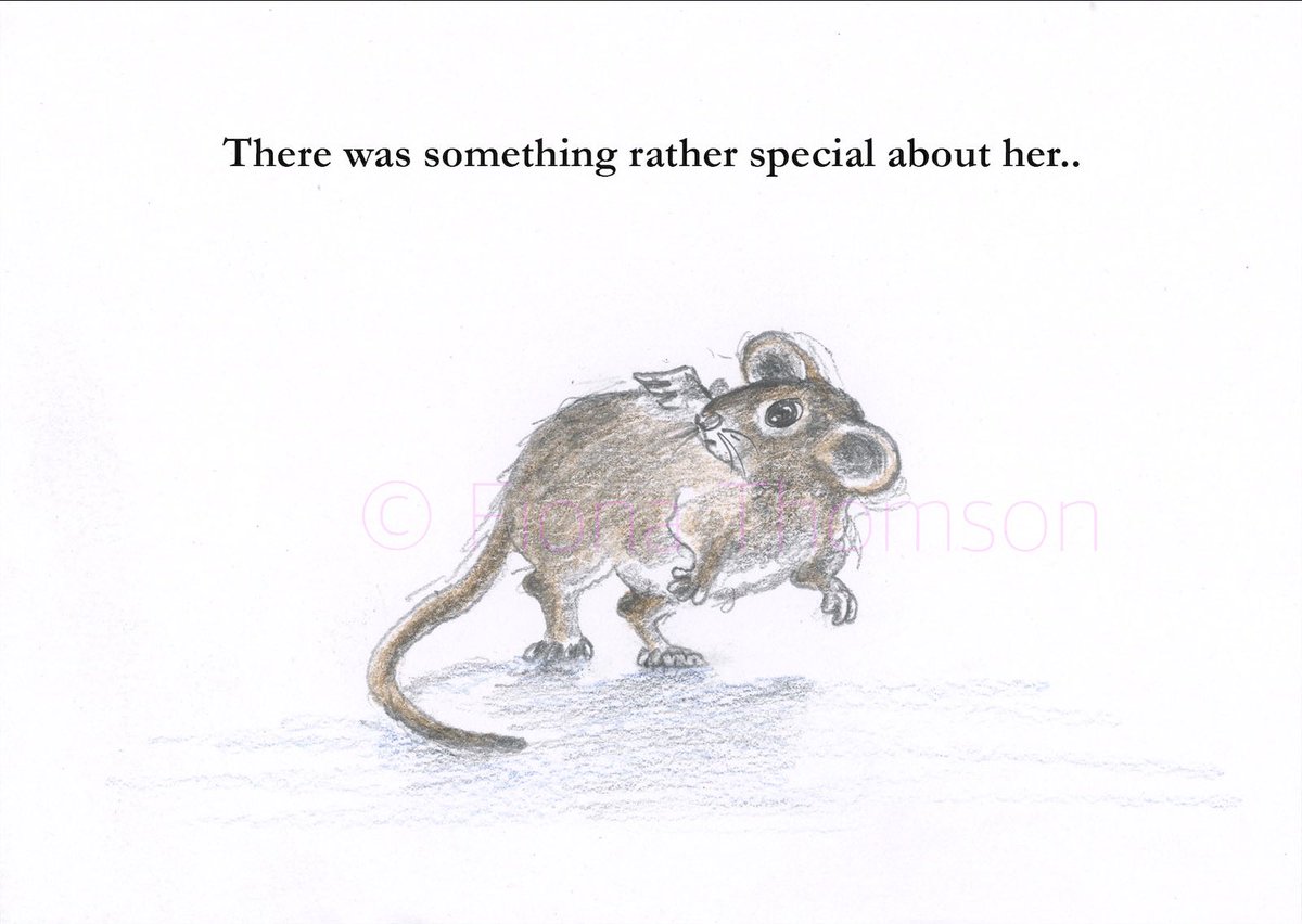 FionaThomsonArt's tweet photo. My ‘Mouse’ story is finished! It will be printed soon!! 

#mouse #iamdrawingabook #pencilexperiments #surprise #friend #tinymouse #mouse #palominoBlackwing #ink #picturebook #illustrator #illustration #illustratorsofinstagram https://t.co/Sb3ciUjPVM