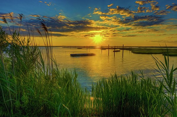 ChrisFerrara10's tweet photo. New artwork for sale! - "Dreamy Bay Sunset" - https://t.co/BFzPttFefL @fineartamerica https://t.co/9A2rl2b2vc