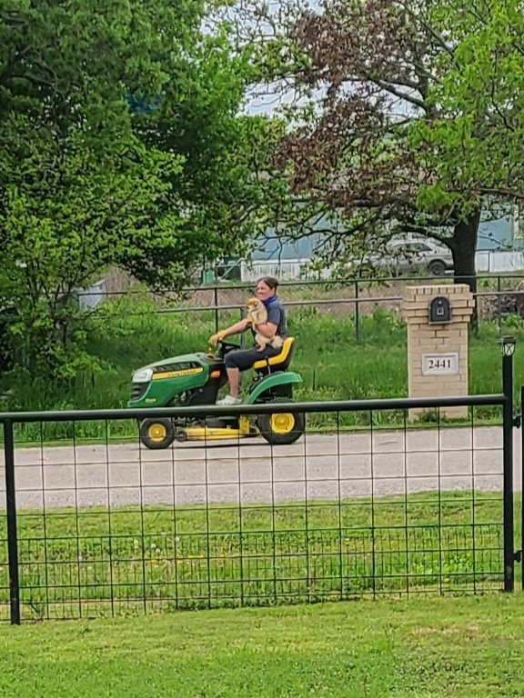 kwarn33's tweet image. what in the Johnson county.... #sundaycruisethroughthehood