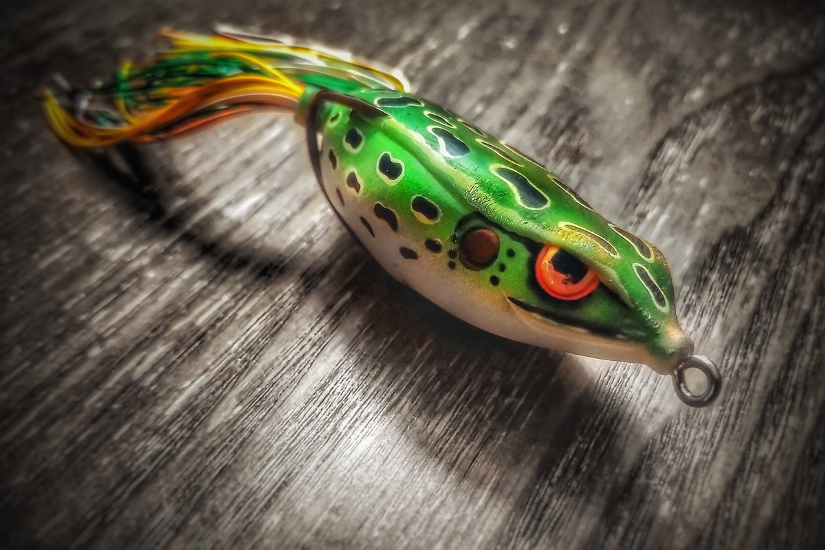 CanuckBassin's tweet photo. @SPRO_USA #Bronzeye hollow body frogs are the perfect softness, not too soft that everything snags up and not too firm that you can't get a good hookset. Just right... and those super stout and sticky Gamakatsu hooks are perfectly positioned making for ease hook ups.
#spro https://t.co/rkHpWAyp1h