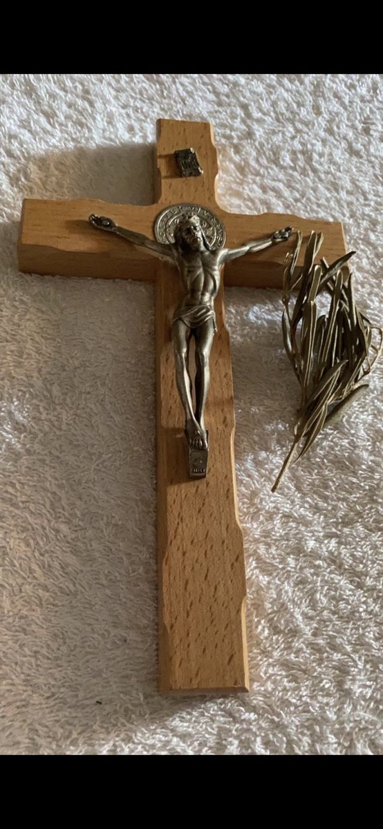 Verónica Castro tweet media