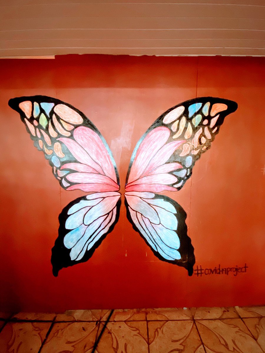 OrangeMoroccan's tweet photo. And she was done 🦋🦋🦋 https://t.co/fY9IyWFCPb