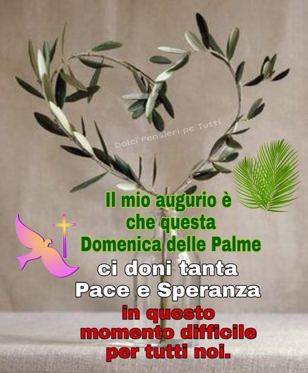 RitvanRrapi's tweet photo. @SophiaMyles Midis spiace Sophia. Un po anche le notizie che sentiamo tutto i giorni.pero passerà. https://t.co/FE5FnWXCzY