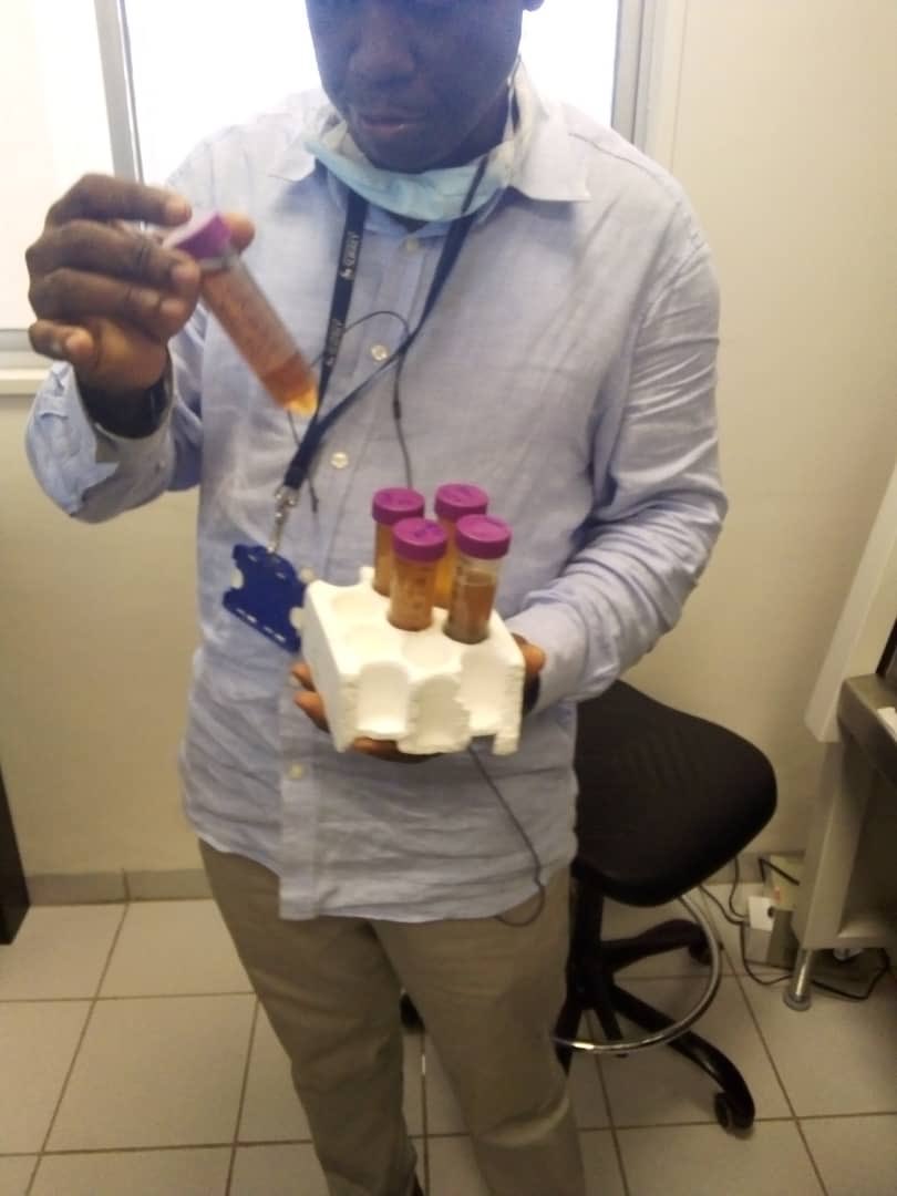 AbeikuSantana's tweet photo. <<<<<BREAKING NEWS >>>>>
Ghana 🇬🇭 May Soon likely find a Solution to Corona Virus 🦠 
Find the attached the visuals of the medicine undergoing Microbial Experimentation in Laboratory 🔬 

For further details call the contact attached. https://t.co/TrCJNTzCPE