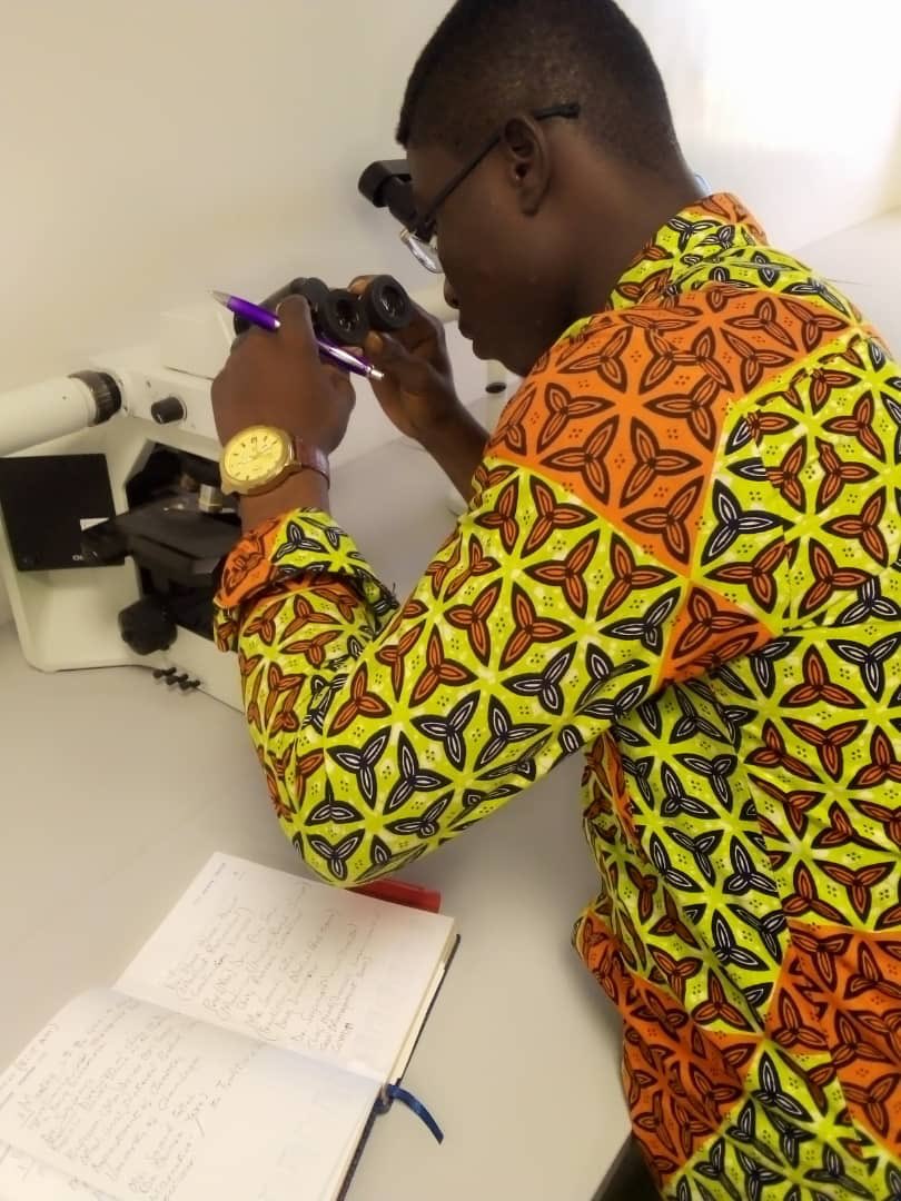 AbeikuSantana's tweet photo. <<<<<BREAKING NEWS >>>>>
Ghana 🇬🇭 May Soon likely find a Solution to Corona Virus 🦠 
Find the attached the visuals of the medicine undergoing Microbial Experimentation in Laboratory 🔬 

For further details call the contact attached. https://t.co/TrCJNTzCPE