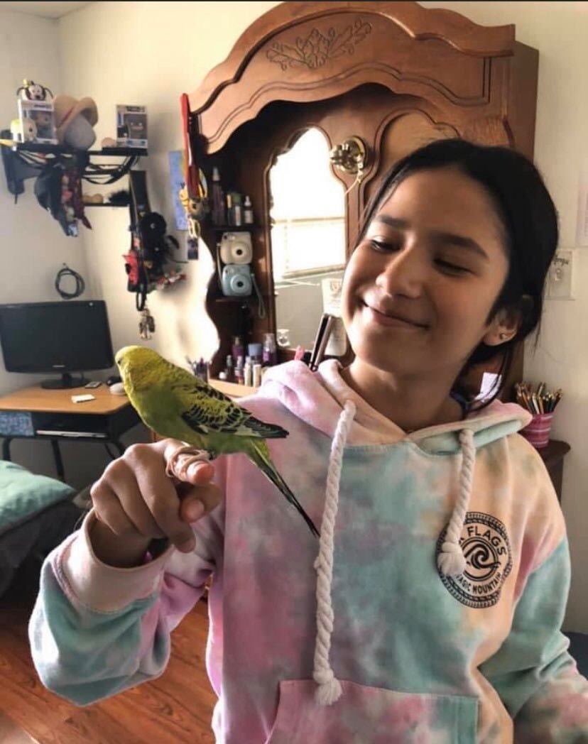 DannContro's tweet photo. Me quiebro.. 
Ana Paola solo vivió 13 años en este miserable mundo. Fue violada y asesinada por la misma persona que entró a robar su casa durante la cuarentena. No la mató un virus, la mató la cultura de la violación, el machismo feminicida de este país. https://t.co/mPp5oKleUd