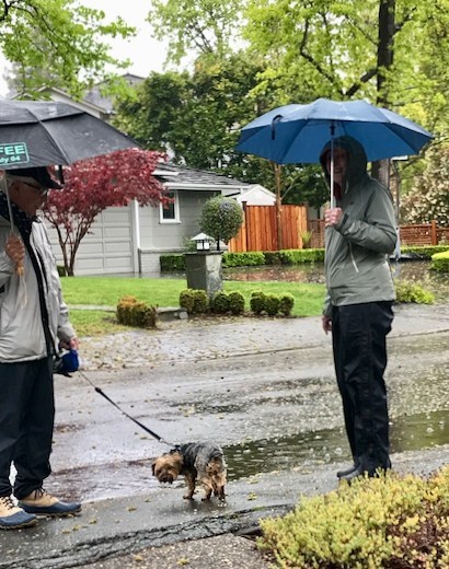 Overnight rain forecast to continue through the day inmenlo.com/2020/04/05/ove…