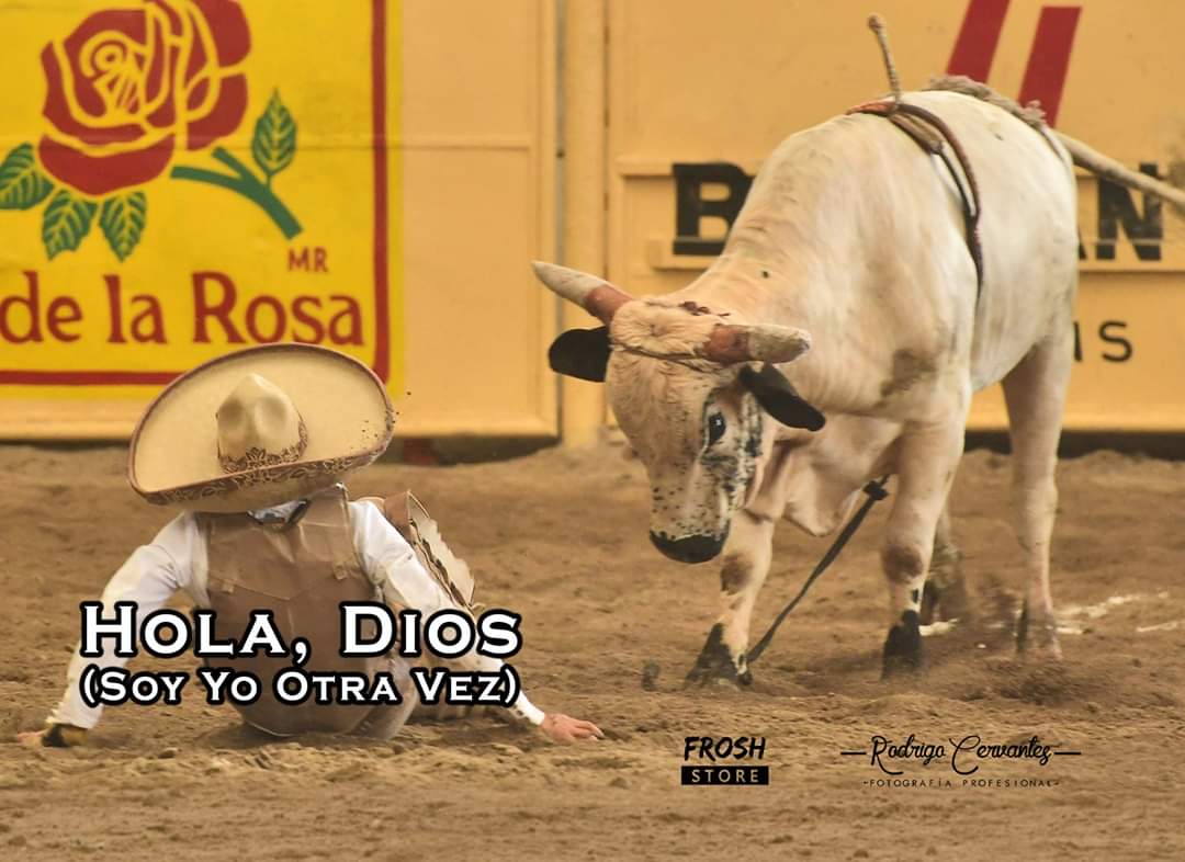 A summary of my 2019 season