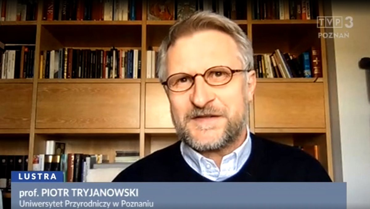 izpuls's tweet photo. Prof. Tryjanowski/@GreatGreyTryjan dwa dni temu wziął udział w programie Lustra @TVP3_Poznan na temat #Covid_19 
Zapraszamy do obejrzenia odcinka z 3 kwietnia
👉https://t.co/4V0VDiTgLv
#ekspertUPP https://t.co/PoP2cKK8Ff