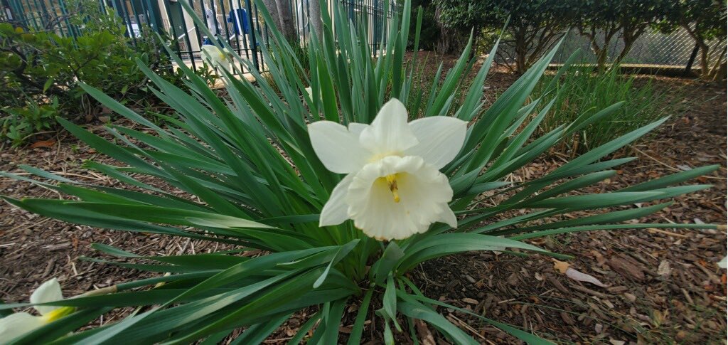 Paradise Activities in Williamsburg tweet media