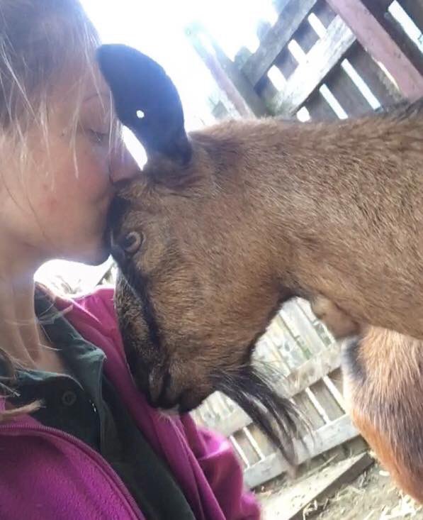 LaurCharls's tweet photo. Science Twitter!

Social media can be an incredible platform. Let’s connect👋🏼

Hi! I’m Laura. I’m a Zoologist from Manchester, but have been studying in Bangor (Wales). 

I have interests in animal ethics, welfare and behaviour. And have big love for ungulates💕✨🖤 https://t.co/4sk8wa8wZN