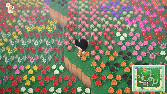 sinnoh_CEO's tweet photo. Same energy https://t.co/PGOMFjmfkU