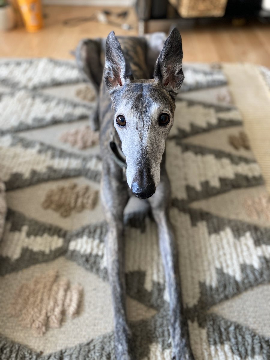 John Doe tweet media