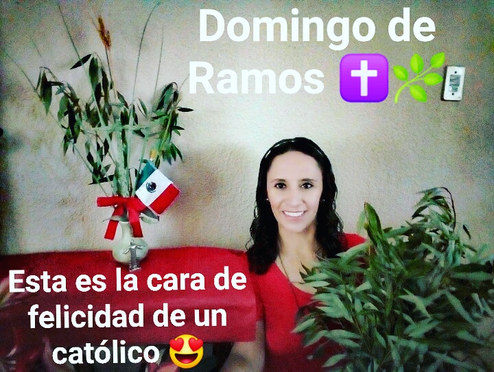 YOUCATMexico's tweet photo. Confirmo así estaba mi cara cuando estaba haciendo mi ramo y al ponerlo en la puerta también tenía esa cara de felicidad 🌿❤️🌿 https://t.co/a2oSGpYpdO