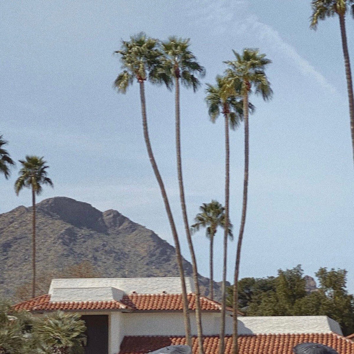 holdior's tweet photo. i miss being outside🦋 https://t.co/lvLLGYm0pC