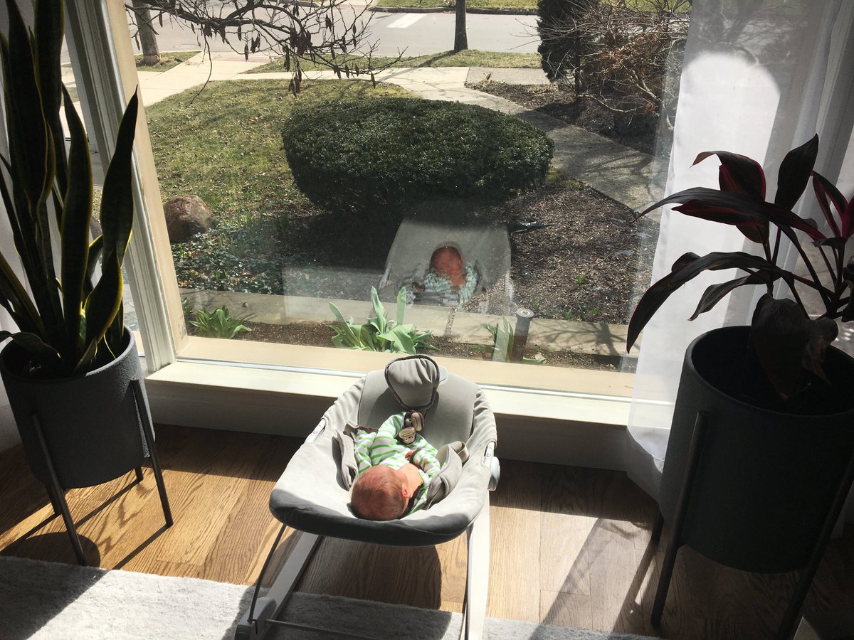 drochkind's tweet photo. @GMA this is the heartwarming story we need right now! babies in the time of #Covid_19 https://t.co/mHRlEy98IG https://t.co/B78k2o5nve