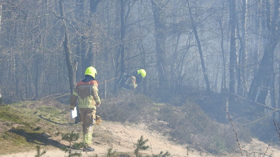 De Venlose brandweer was zondag druk met het blussen van bosbrandjes:..