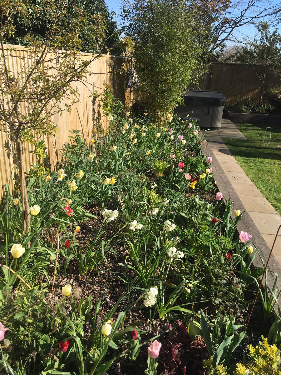 CREducATE's tweet photo. Ok, bit guilty here but some #garden #wonder for you today. #PhotoDocMyBorder... https://t.co/xz6mWWJmRF