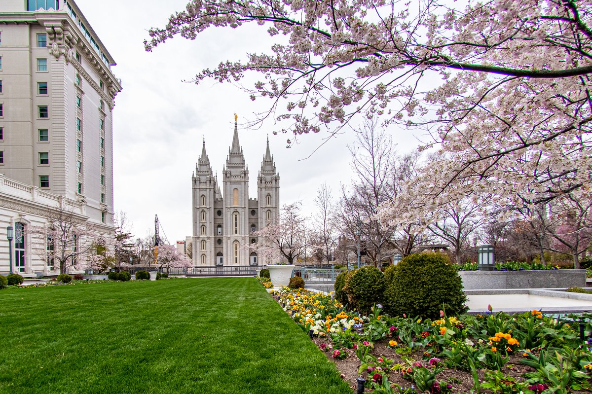 Ch_JesusChrist's tweet image. The Sunday afternoon and final session of April 2020 #GeneralConference will start at 2 p.m. MDT. Join us via live stream on ChurchofJesusChrist.org. #HearHim