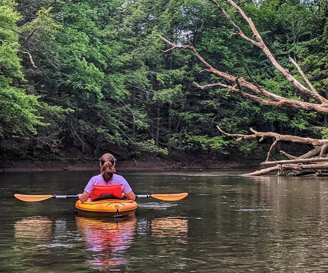 solvanginn's tweet photo. Is fishing in PA still open? YES! Checkout our list for isolation-friendly activities and links to PA guidelines for fishing. Also, don't forget about our 25% Gift Certificates through May 1.
- https://t.co/OL23Gg3GqX https://t.co/kZAeMrpV9o