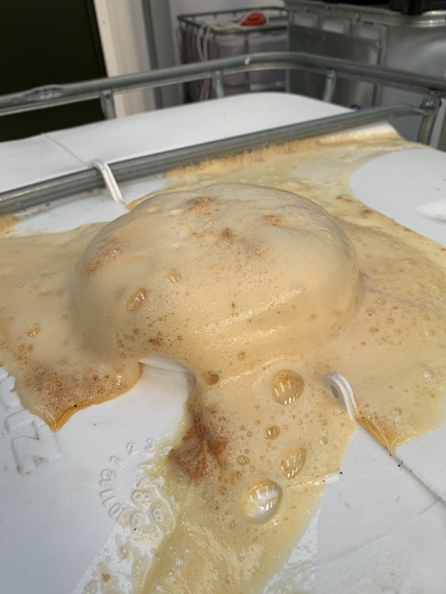 beerbuzzmcr's tweet photo. Learn how we make cider with #BeerBuzz. The latest issue of #BeerBuzz includes the second of a four part series by @Ashton1848 but you can read extended versions of parts 1 & 2 at https://t.co/2mJ0iT6Cay
https://t.co/Pe3PG0rxjI https://t.co/8U19HXfhzO